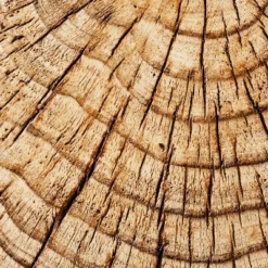 Indoor/Outdoor Faux Concrete Stump Accent Table Brown - Threshold™ Designed With Studio McGee -Furniture Outlet Store GUEST 03deabfd 2b62 4725 94b4 09a321ea8678